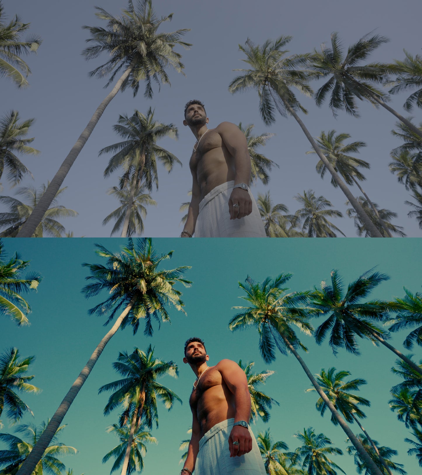 LUTS | The Vintage Collection