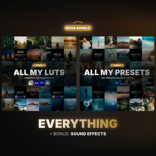 Everything (Presets, LUTs, SFX)